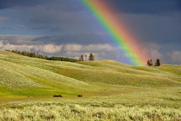 Gestione dell’anemia sideropenica in gravidanza: le linee guida non sono concordi